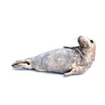 Sm Seal