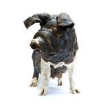 Saddleback Sow