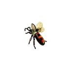Honeybee