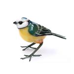 Blue Tit