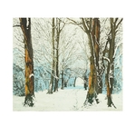 Through Cold Woods (framed)