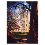 Magdalen College Tower, Oxford