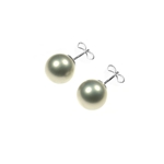 Shell Pearl 10mm Stud Earrings