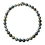 N/L Tahitimix 12mm Shellpearl Silver Clasp