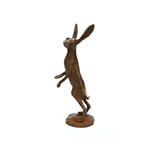 Hare Standing