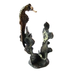 Seahorse Single