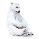 Polar Bear Sitting