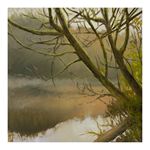 Dawn Mist Halo, Luddington