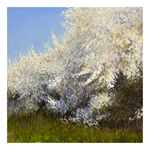 Blackthorn Study, Seven Meadows