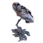 Night Owl