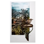 Allotment Wren (Framed)