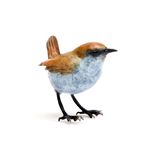 Wren Life Size