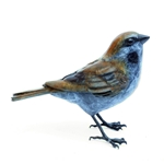 Sparrow