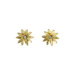 E/R Daisy + Diamond