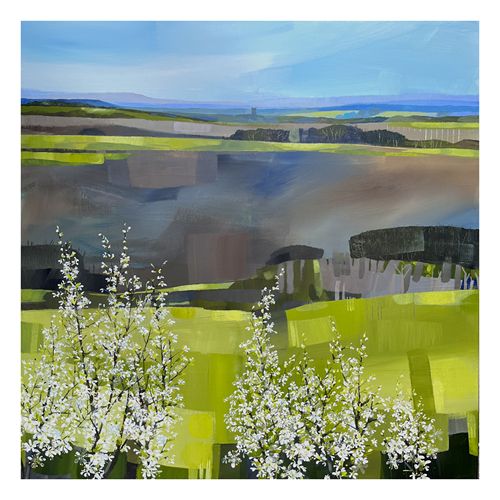 Blackhorn & Brown Fields