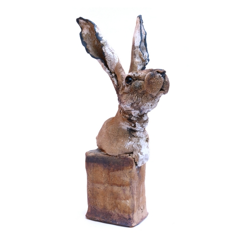 Sm Hare Head