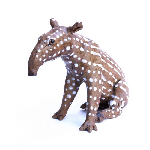 Malayan Tapir Baby