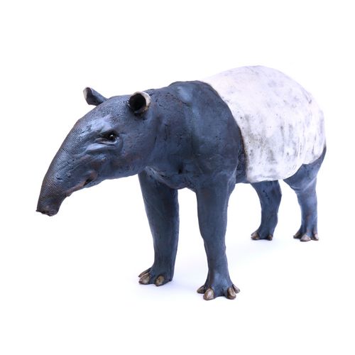 Malayan Tapir
