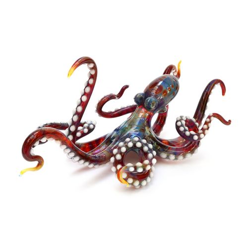 Octopus with Suckers