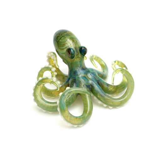 Curley Octopus