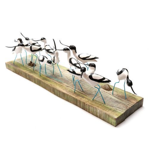 Avocets