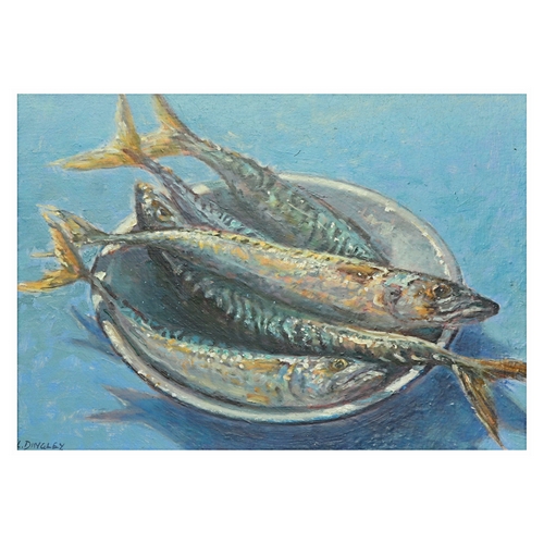 Mackerel, still Life