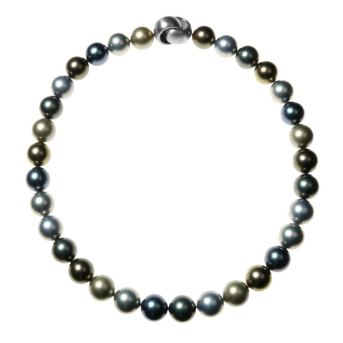 N/L Tahitimix 12mm Shellpearl Silver Clasp