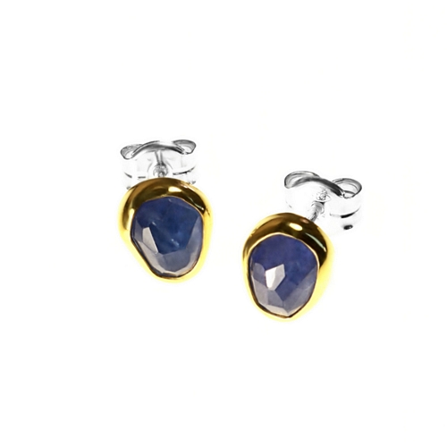 Earrings with Tanzanite