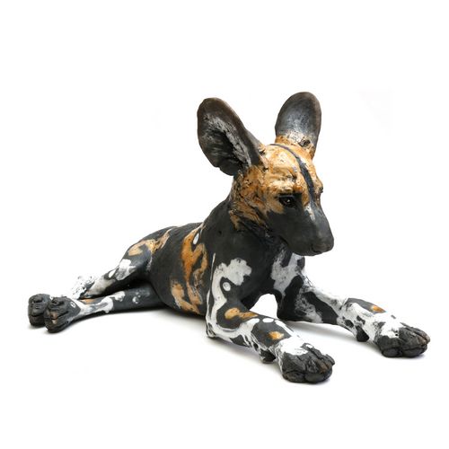 Painted Dog Lying