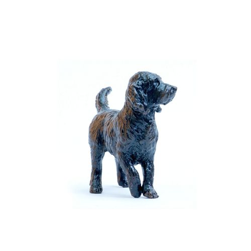 Cockapoo Standing
