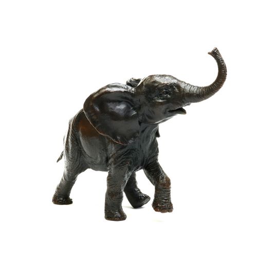 Baby Elephant Running