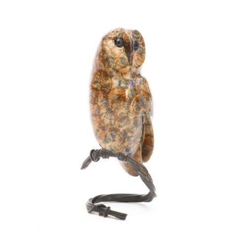 Barn Owl