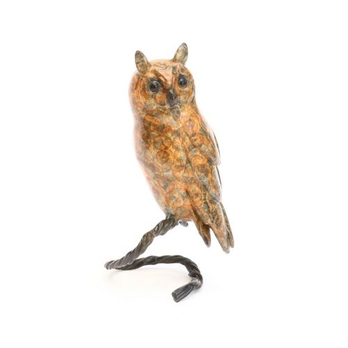 Tawny Owl