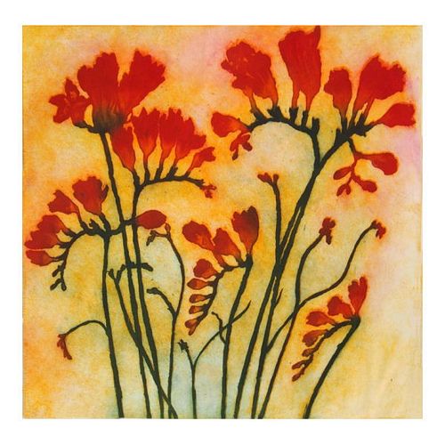 Scarlet Freesias