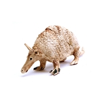 Alternative image