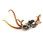 Octopus with Suckers