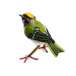 Alternative image