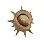 Life Without You Is Pointless