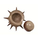 Life Without You Is Pointless