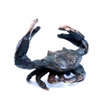 Alternative image