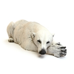 Dozing Polar Bear