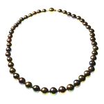 Black/Brown Round Pearl Necklace with Gold Plated Clasp