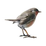 Robin Standing